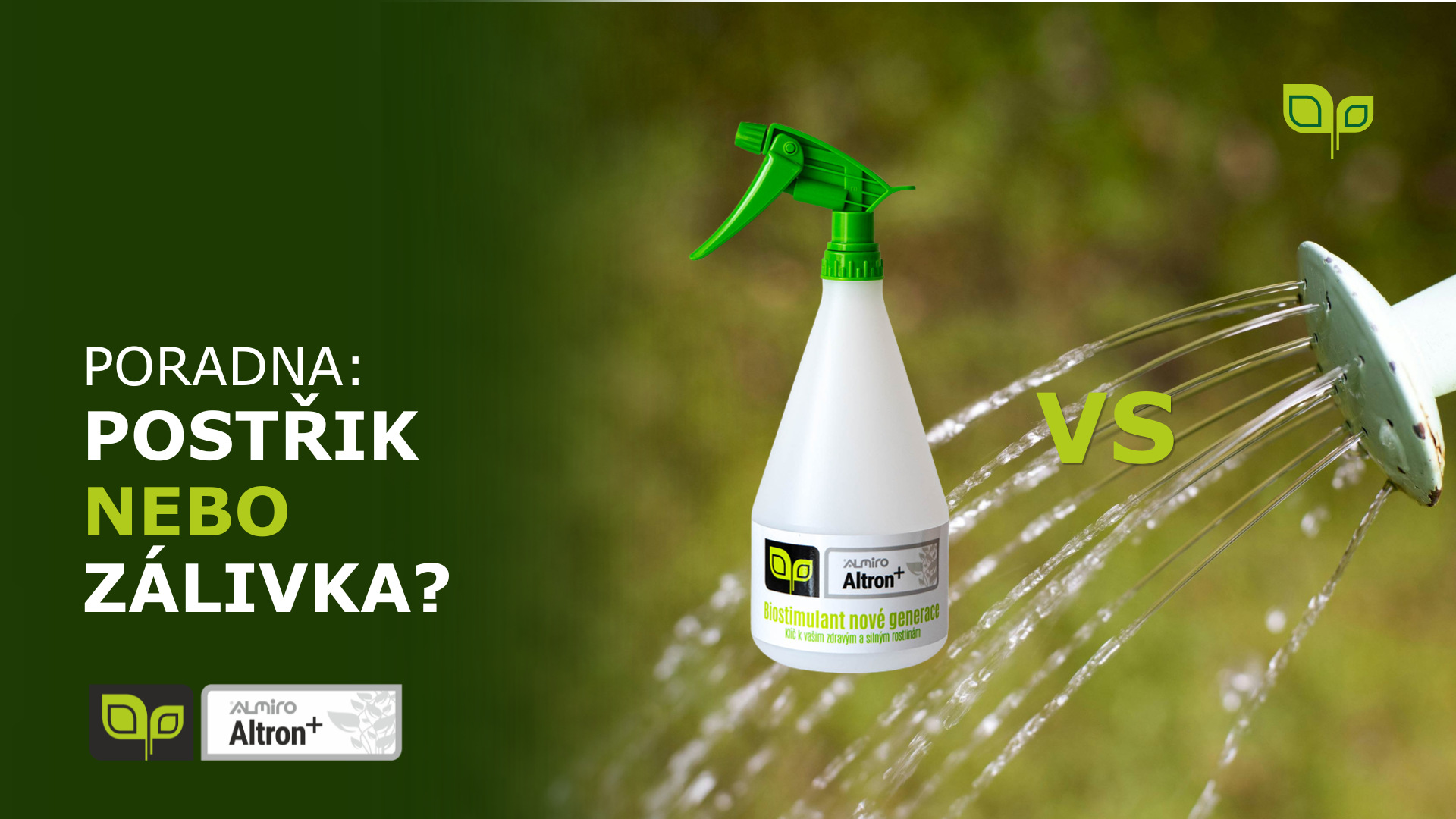 Postřik nebo zálivka?
